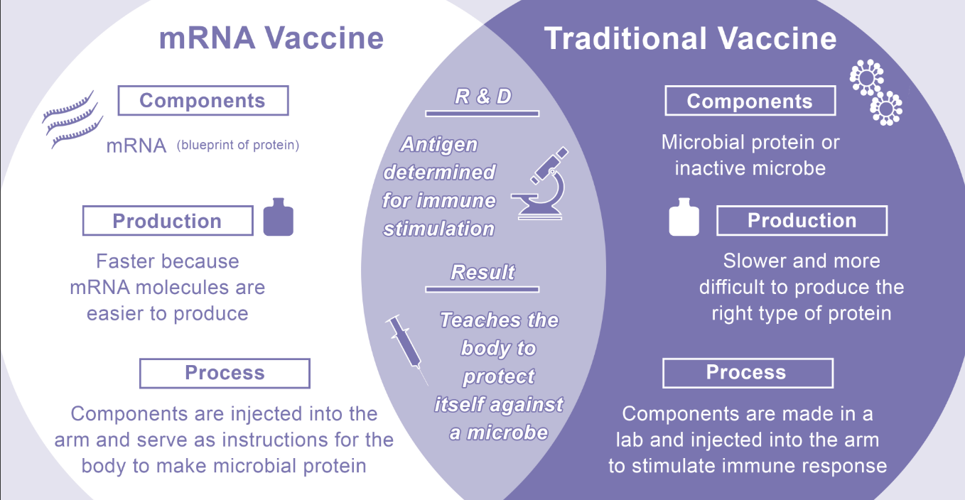 A diagram of a vaccine

AI-generated content may be incorrect.