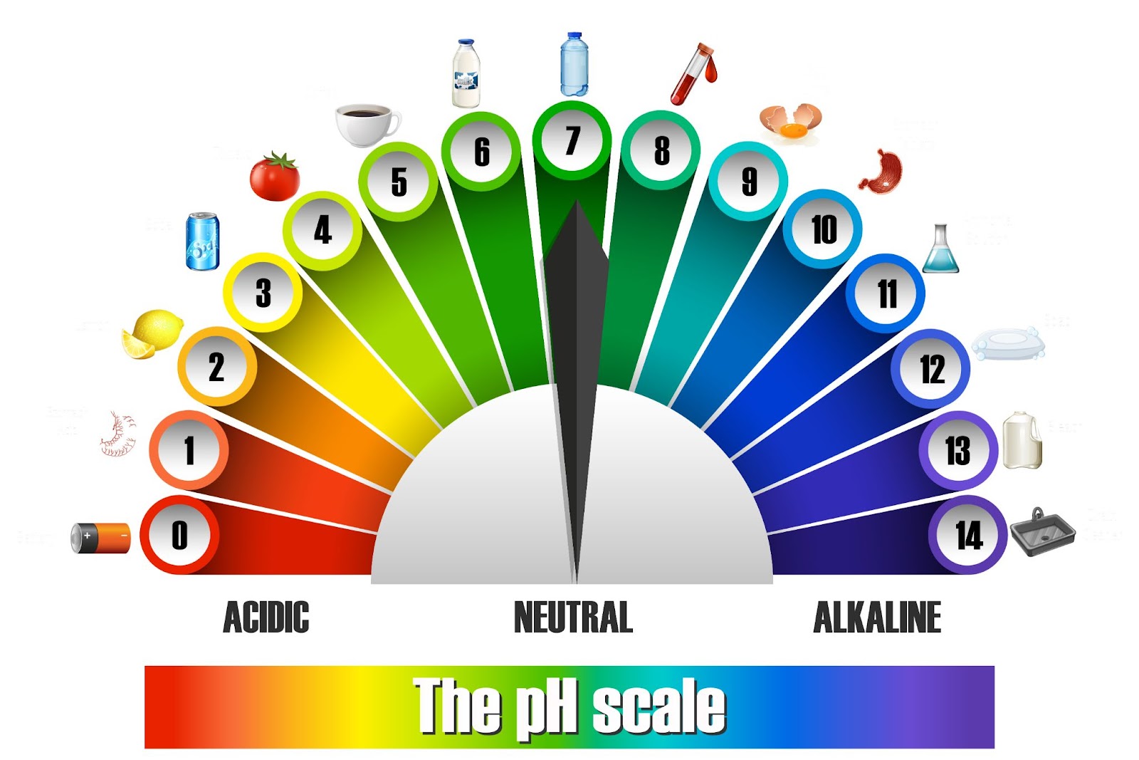 PH Scale of food