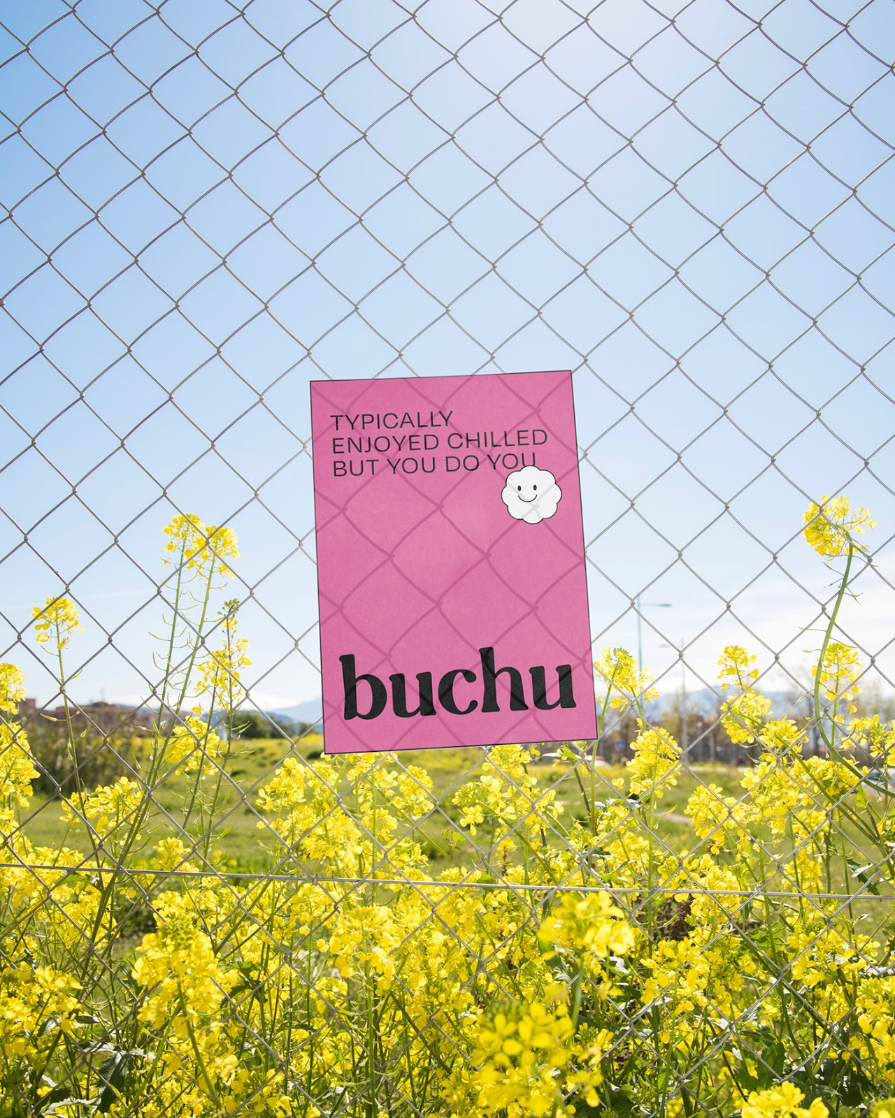 Image from the BUCHU: Branding and Packaging Design for a Kombucha Brand article on Abduzeedo