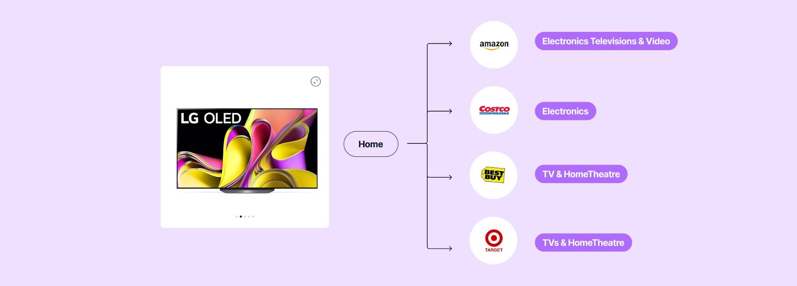 Taxonomy can be Taxing