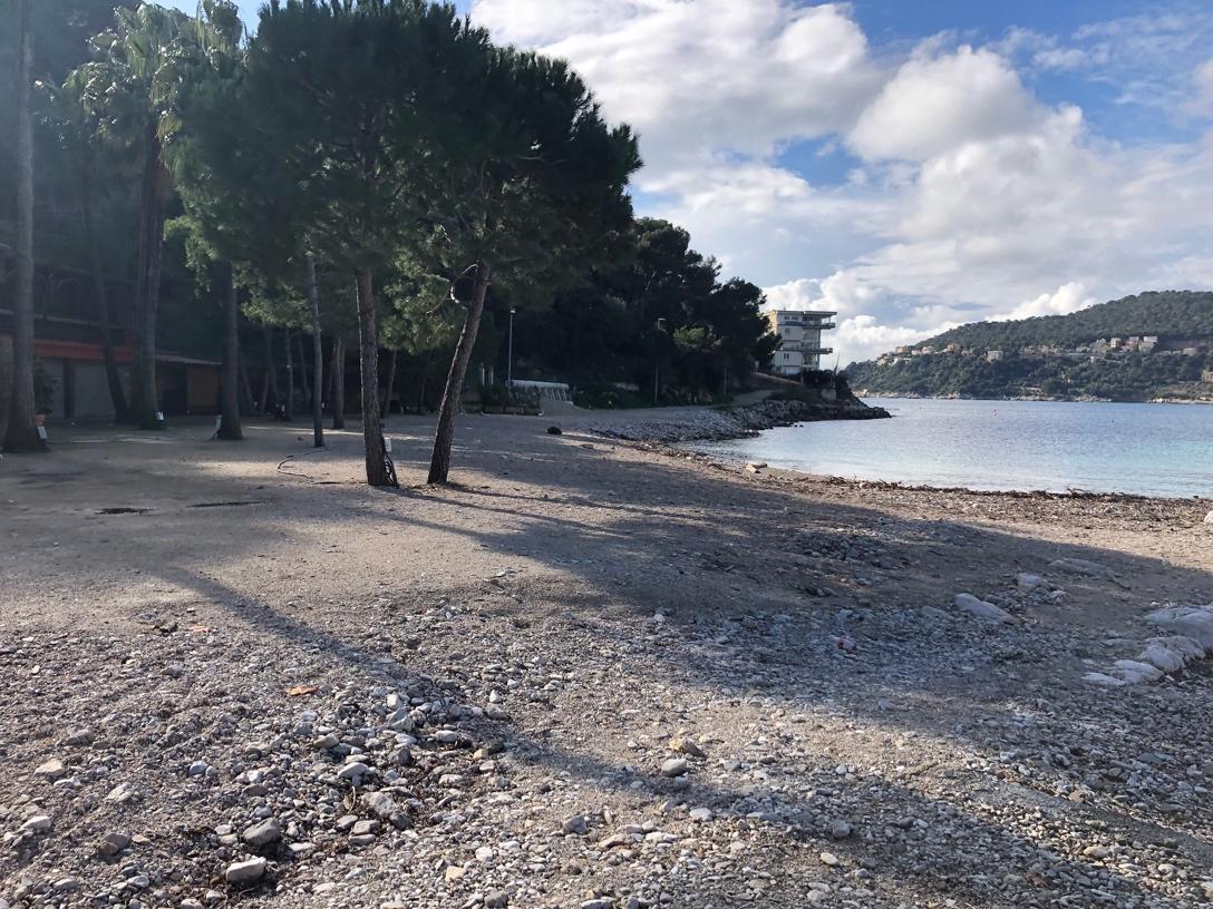 A beach with trees and water

Description automatically generated