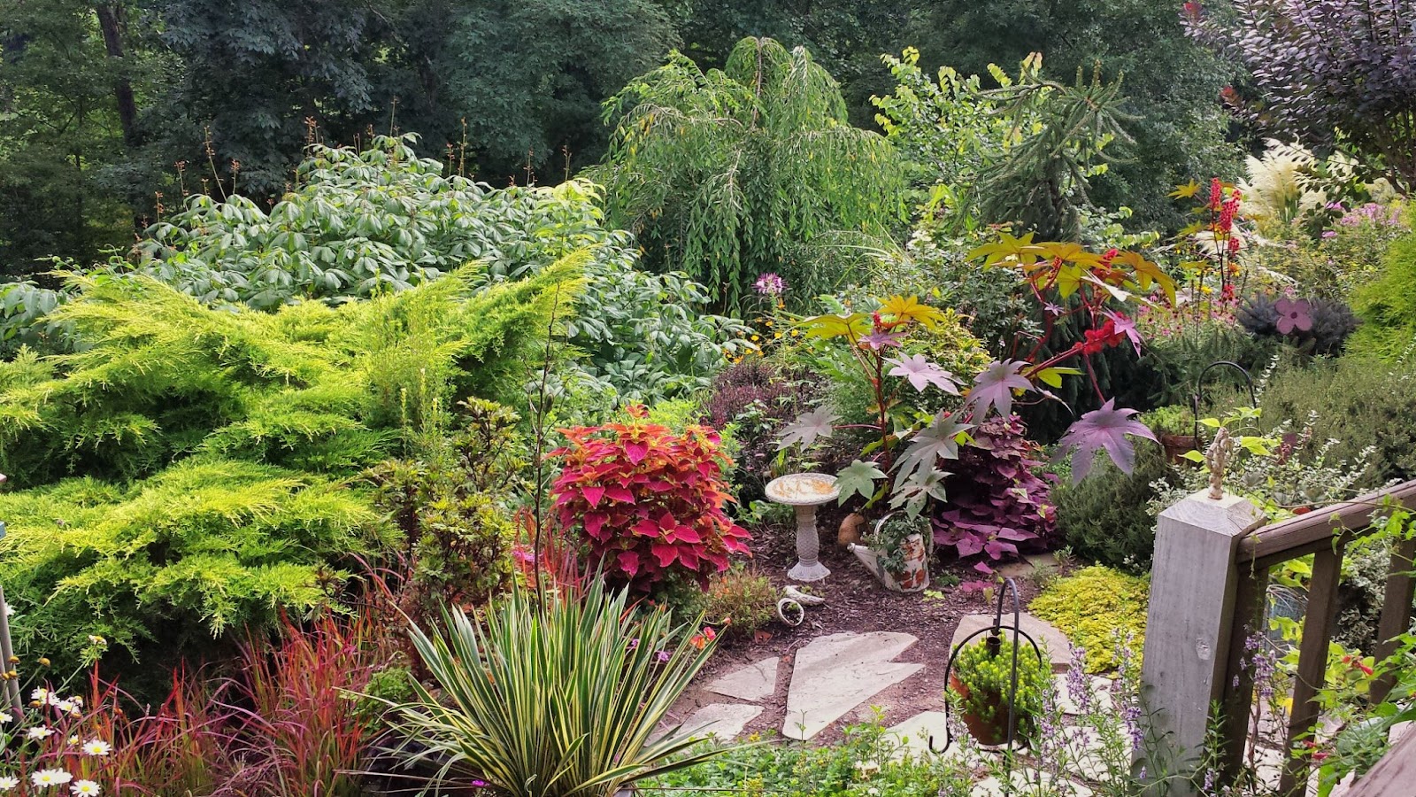 garden lush green