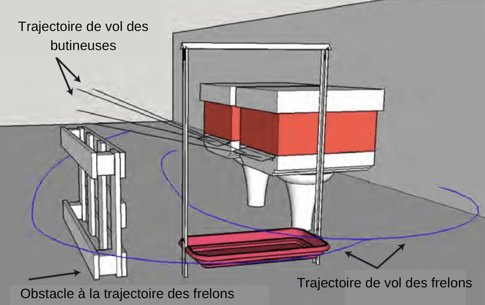 Harpes électriques et autres pièges contre le frelon asiatique - ÉQUIPEMENTS & MATÉRIEL