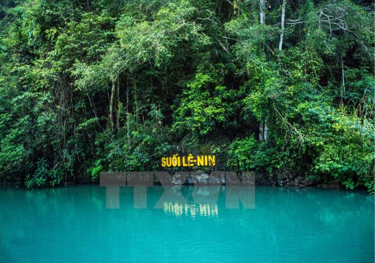 A body of water with trees around it

Description automatically generated