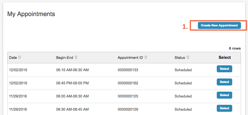Create New Appointment under My Appointments emphasized with red box highlight.