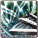 AD_4nXc5kbWtbZJEdVVOXmDqKhtfb8CrIjS2ODcq4Dl8-NwoWCLy_RAVsbmIqRRoDeweiN11Uc5EdxLP4hVwJs9CogTRywHHjuysARcPzuL6xzvN7WG3o3Sgf4k6W1VQglozgcA569YJuw?key=xN-WnNjHuxnC6VtFYRDm1g