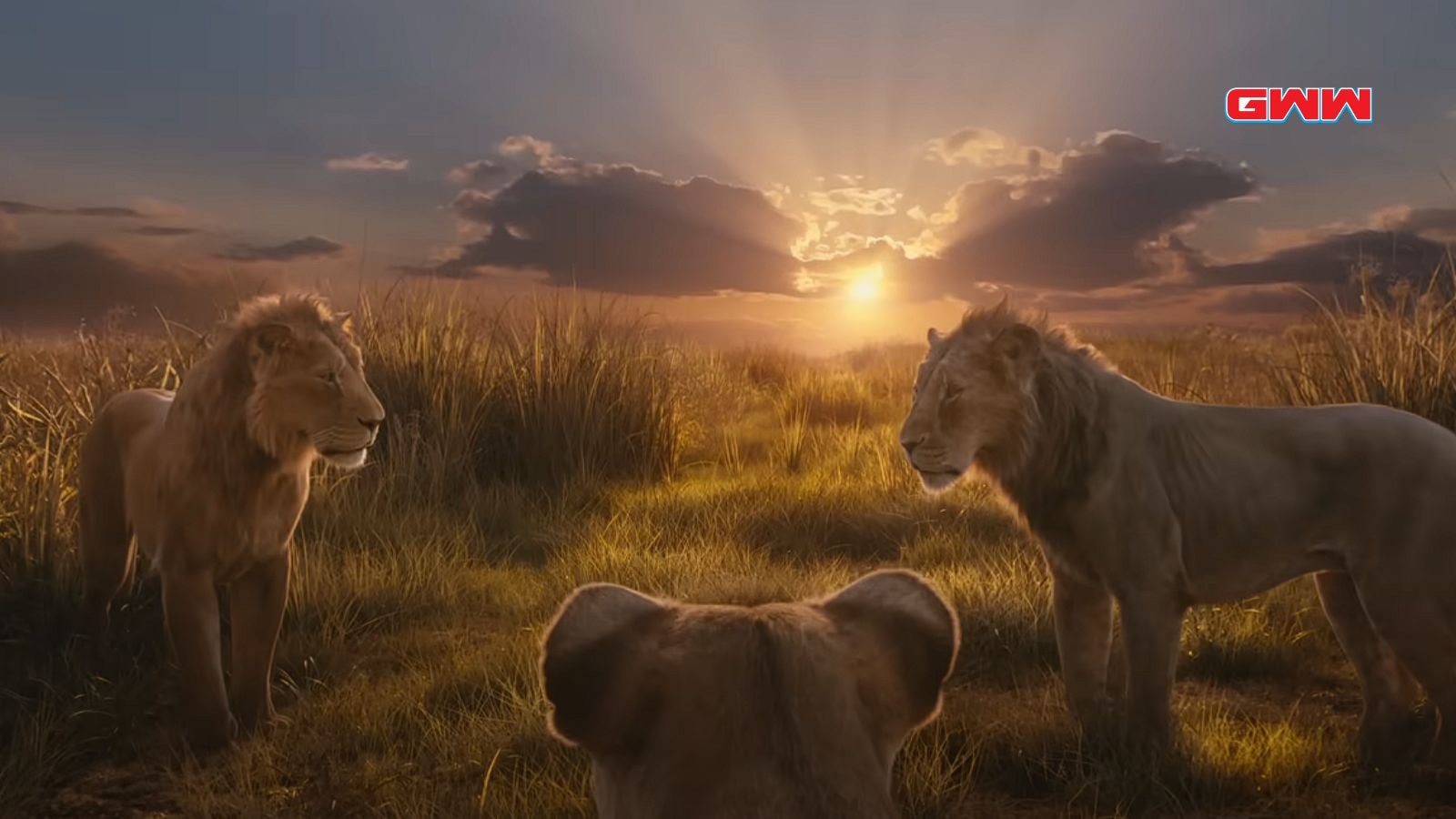 Mufasa and Scar interaction in Mufasa the Lion King starring Kelvin Harrison Jr.