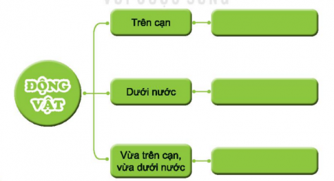 BÀI 17. ĐỘNG VẬT SỐNG Ở ĐÂUMỞ ĐẦUCâu hỏi: Kể tên và nơi sống của các con vật mà em biết.Đáp án chuẩn:Một số con vật mà em biết là: con chó, con mèo, con chim, con hổ, con báo,…KHÁM PHÁCâu 1: Chỉ ra và nói tên các con vật mà em quan sát được trong hình dưới đây. Chúng sống ở đâu?Đáp án chuẩn:- Con vịt sông ở các ao, hồ hoặc trên cạn.- Con cá, cua, tôm sống ở các ao, hồ, sông, suối.- Con ếch sống trên lá sen.- Con chim sống ở trên bầu trời.- Con bò sống ở các cánh đồng, ven hồ, …Câu 2: Các con vật đó sống ở môi trường trên cạn hay dưới nước? Đáp án chuẩn:Các con vật sống ở trên cạn là: con vịt, con ếch, con chim, con bò.Các con vật sống ở dưới nước là: con cá, tôm cua, vịt, ếch.Câu 3: Phân loại các con vật dựa vào nơi sống và môi trường sống. Hoàn thành bảng sau:Đáp án chuẩn:THỰC HÀNHCâu 1: Nơi em đang sống có những con vật gì? Chúng sống ở môi trường nào?Đáp án chuẩn:Nơi em đang sống có những con vật như con chó, mèo, gà , lợn, trâu , bò. Chúng đang sống ở môi trường trên cạn.Câu 2: Đặt và trả lời câu hỏi về tên và nơi sống của các con vật trong mỗi hình sau:Đáp án chuẩn:- Những con vật nào sống ở trong rừng?Con vật sống ở trong rừng là con hổ và con voi.- Những con vật nào sống ở dưới biển?Con vật sống ở dưới nước là con cá heo và con rùa biển.- Con vật nào sống trên cánh đồng?Con vật sống trên cánh đồng là con bò sữa.- Con vật nào có thể sống chung với gia đình bạn như một người bạn?Đó là con mèo.Câu 3: Viết tên hoặc dán tranh, ảnh các con vật theo sơ đồ gợi ý sau:Đáp án chuẩn:- Trên cạn: chó, mèo, gà, vịt, lợn, bò,...- Dưới nước: cá, tôm, cua, ốc,...- Vừa trên cạn vừa dưới nước: cá sấu, chim cánh cụt, rùa,…VẬN DỤNG