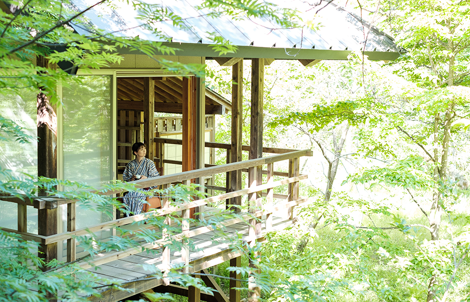 温泉山荘 だいこんの花