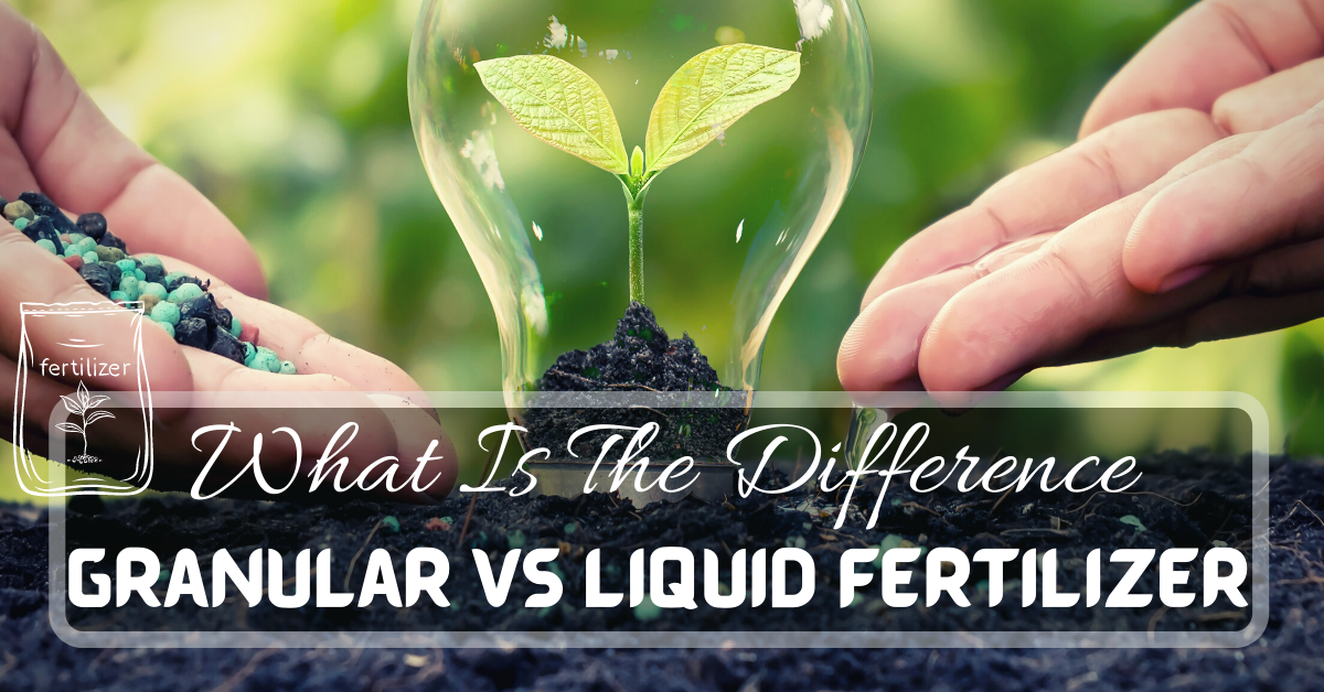 Liquid Vs. Solid Fertilizers