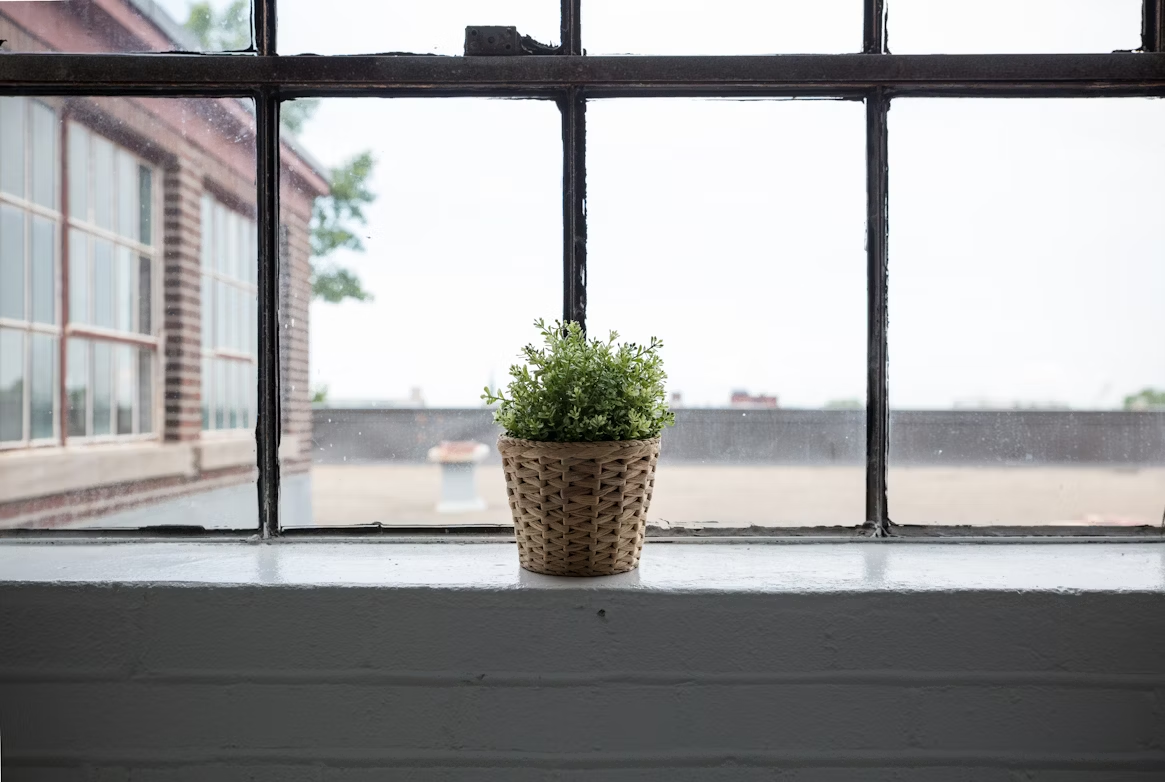 Small potted plant in a woven basket on a windowsill in front of a large industrial-style window with visible streaks on the glass.