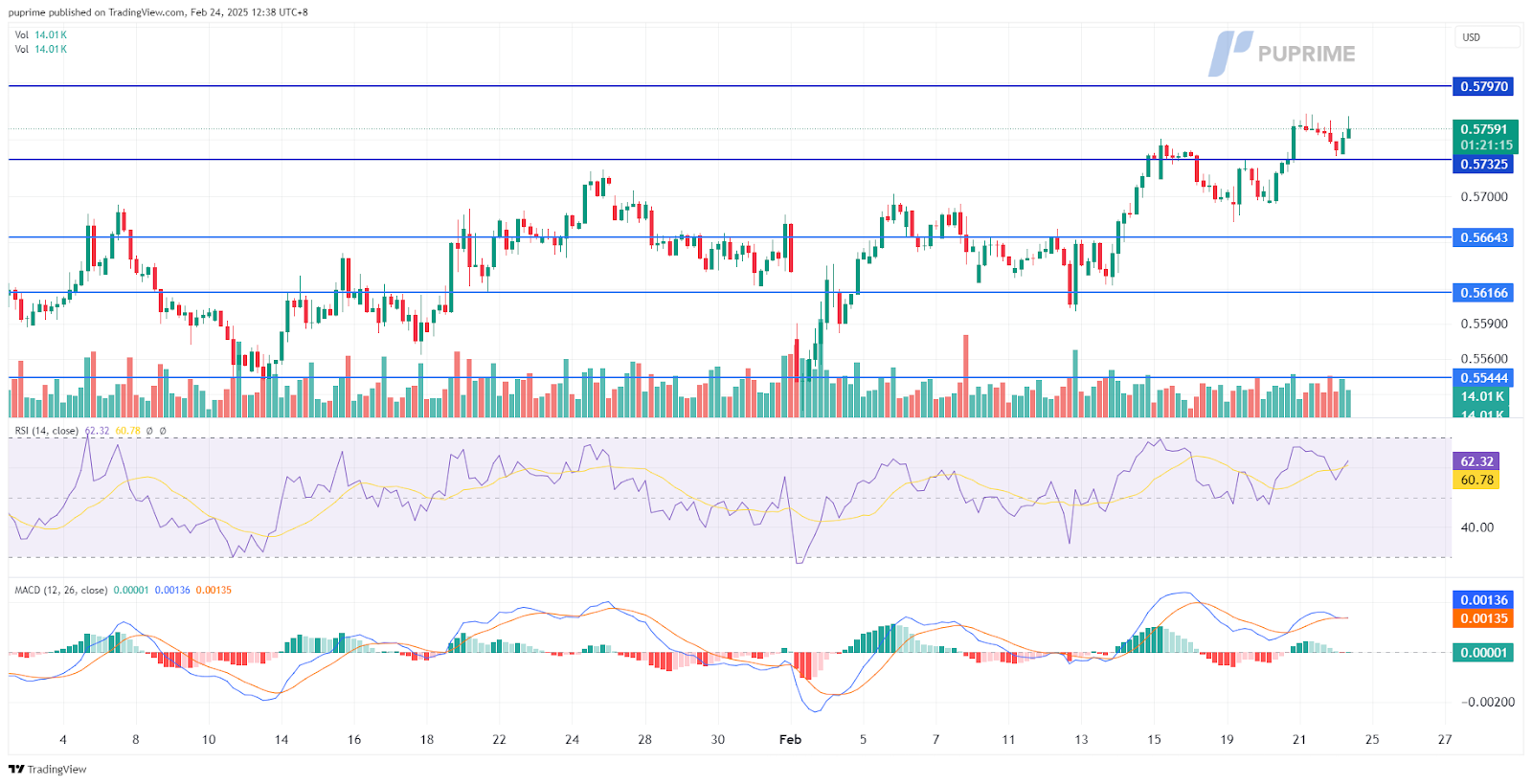 nzdusd 24022024