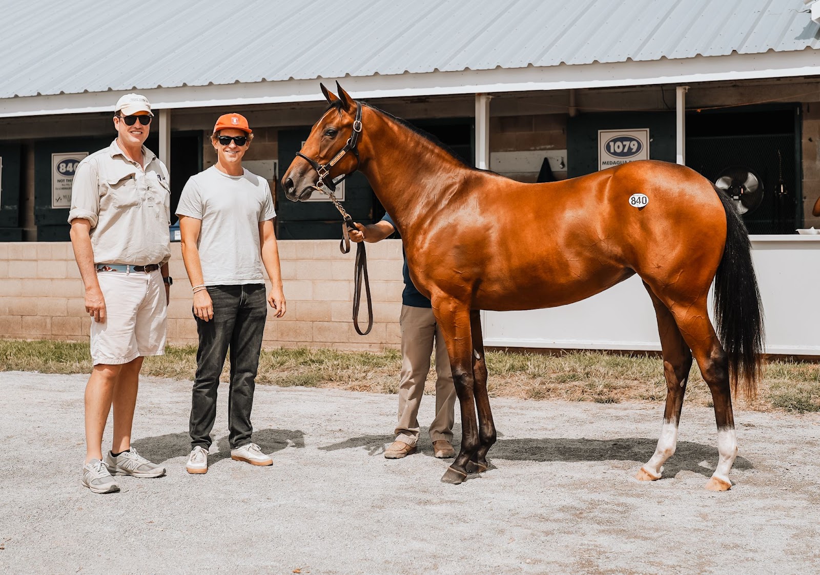 Hip No.840 Filly by Not This Time, out of a sister to G2 winner War Decree 