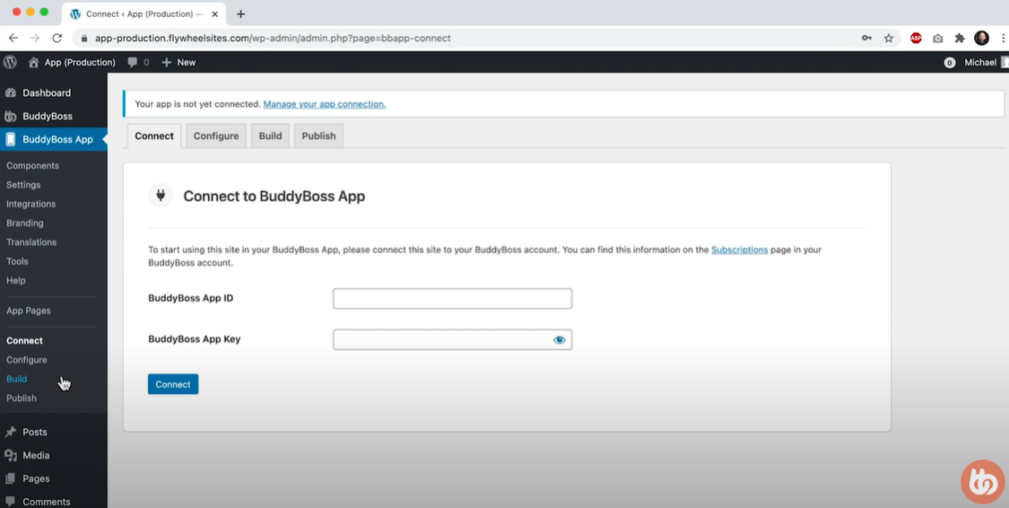 BuddyBoss app set up