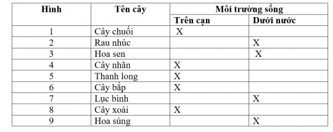 2. Phân loại thực vật và động vật theo môi trường sống