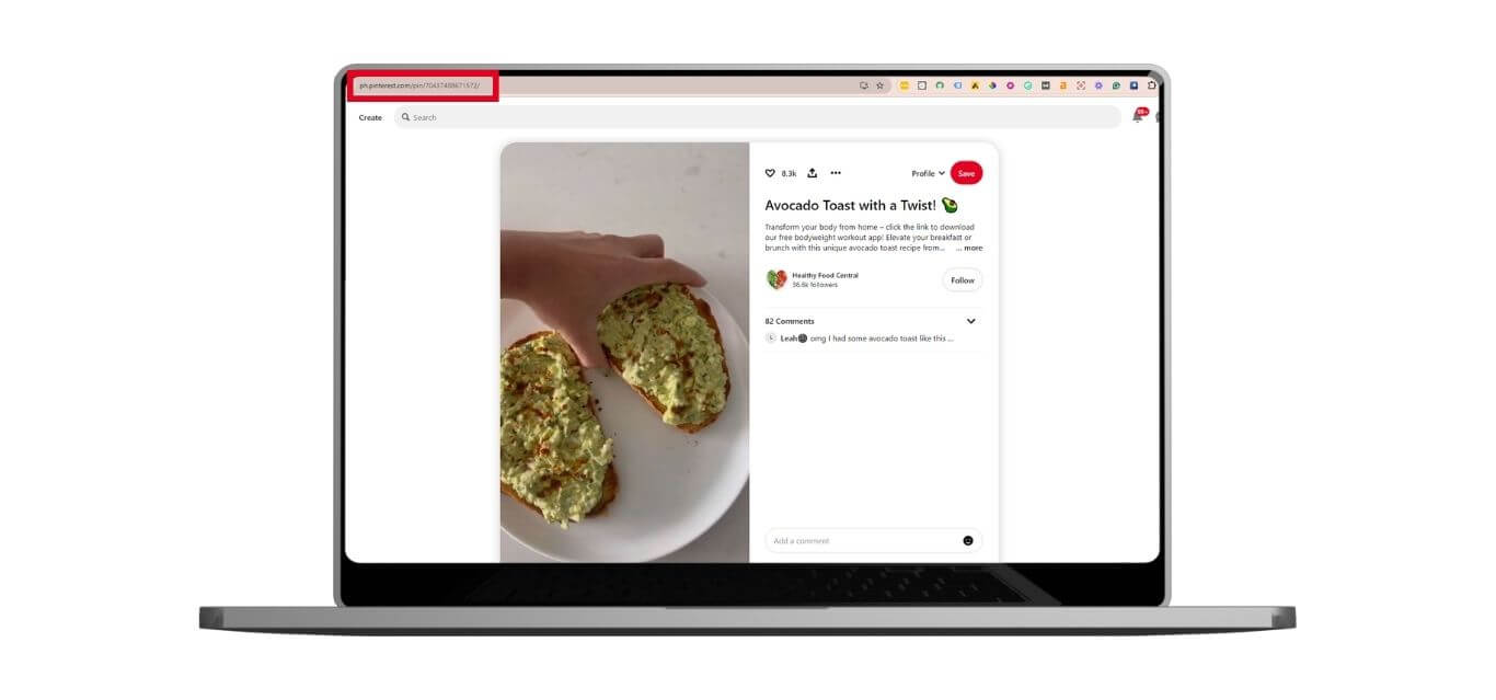 Pinterest video URL