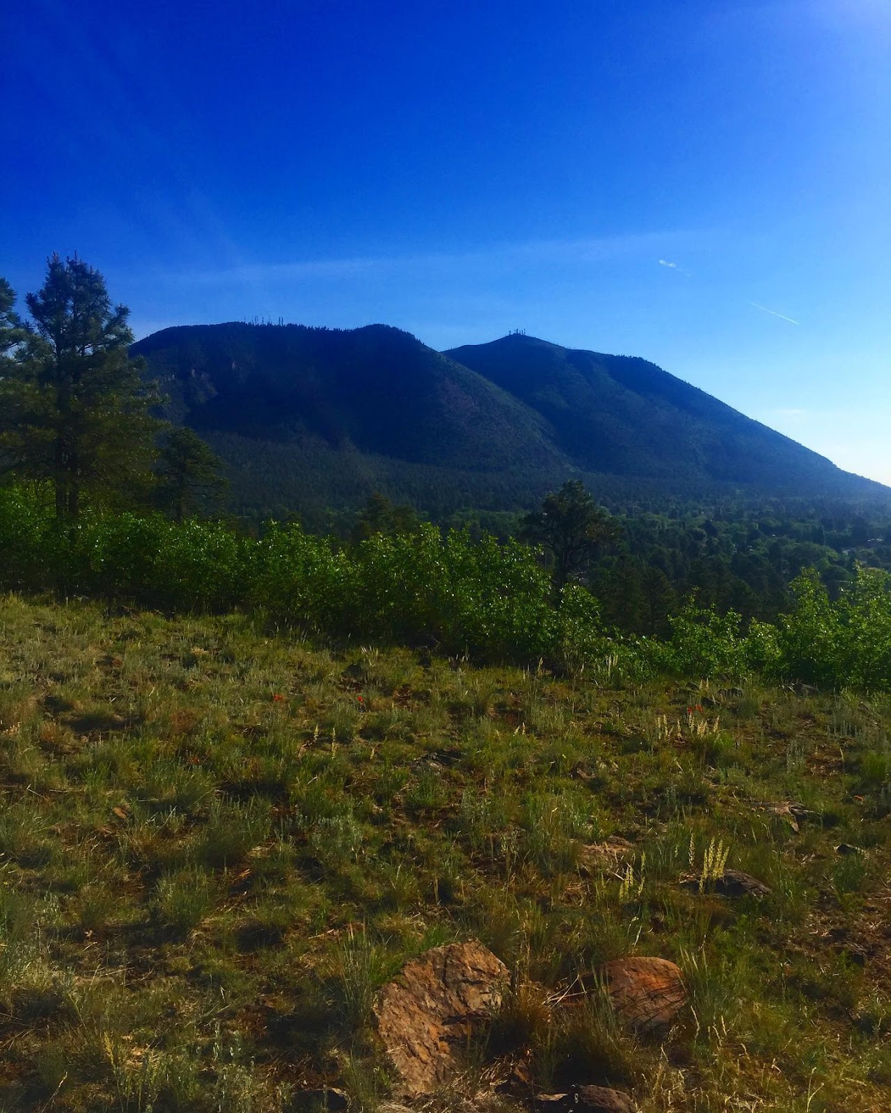 Flagstaff Urban Trail System