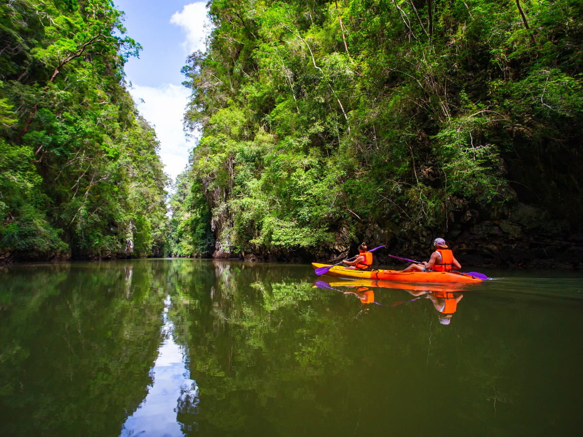 Navigating the Mangroves of Krabi: Ao Thalane's Hidden Kayak Trails