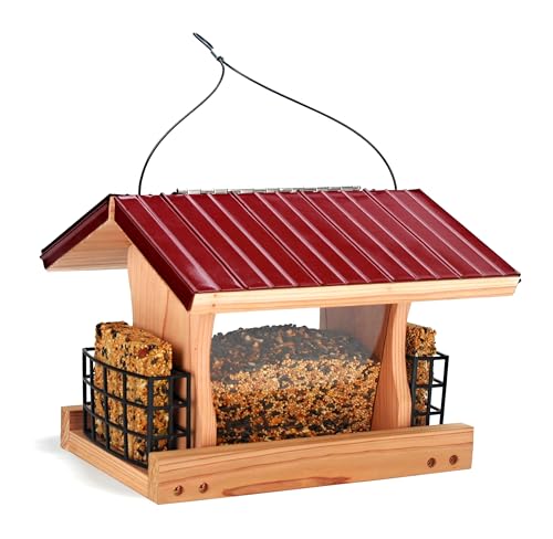 Large Bird Feeders for Outside Clearance - DIY Birdfeeder Kits for Adults to Build - Ranch Feeder W/Suet Cages - Heavy Duty 3/4