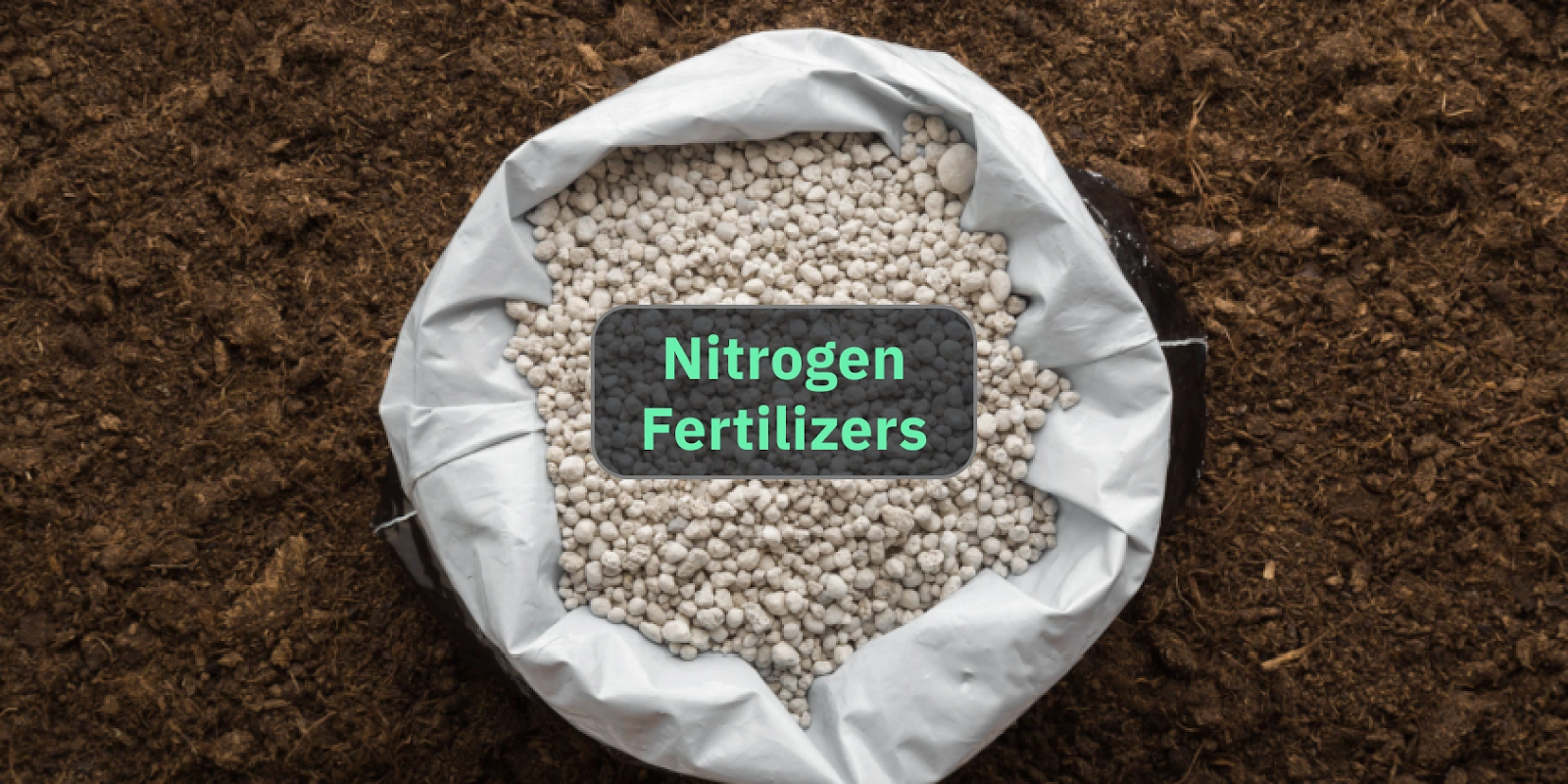 Nitrogen Fertilizer for Grass