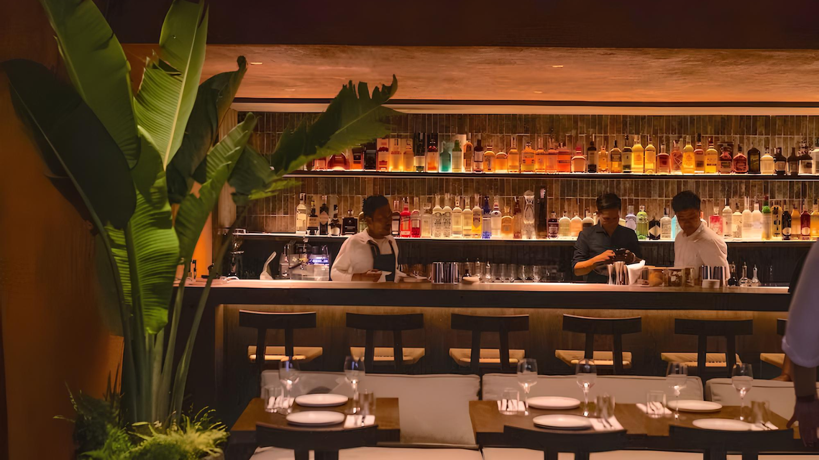 Bar vera 