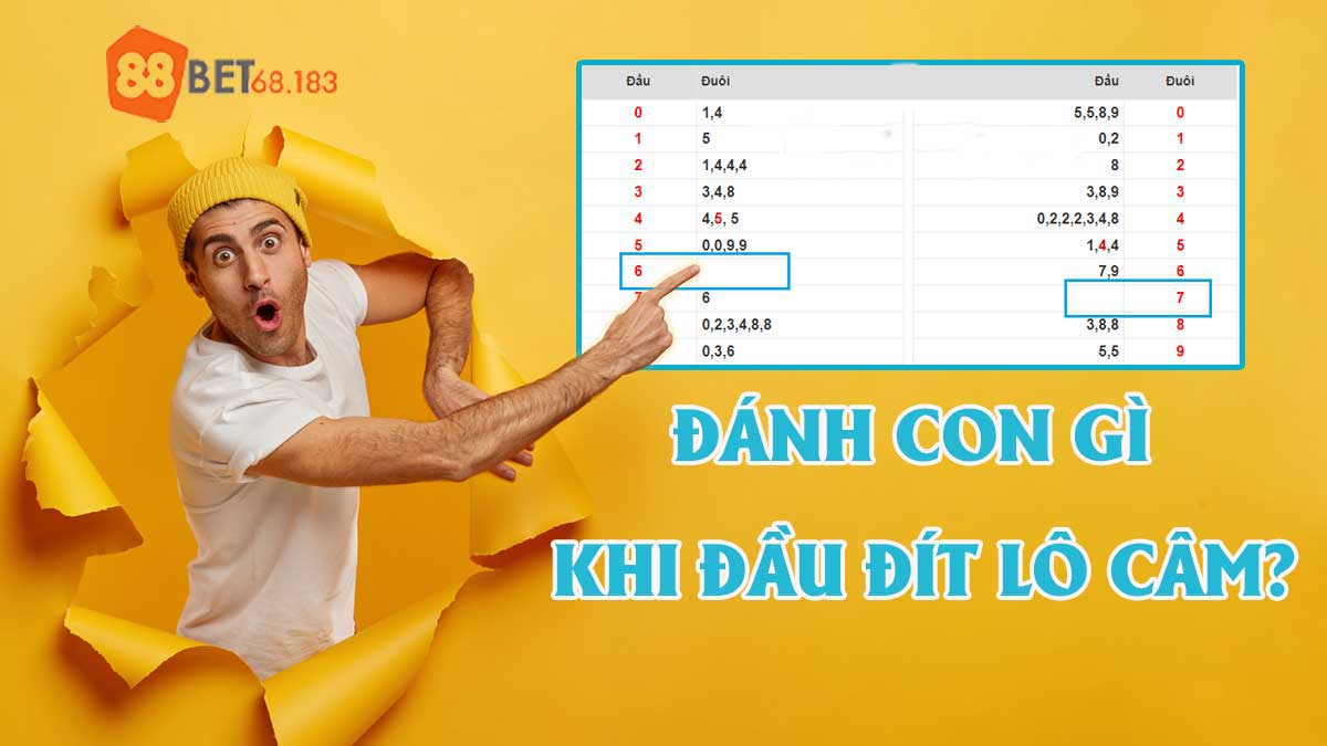 Hướng Dẫn Cách Đánh Lô Câm