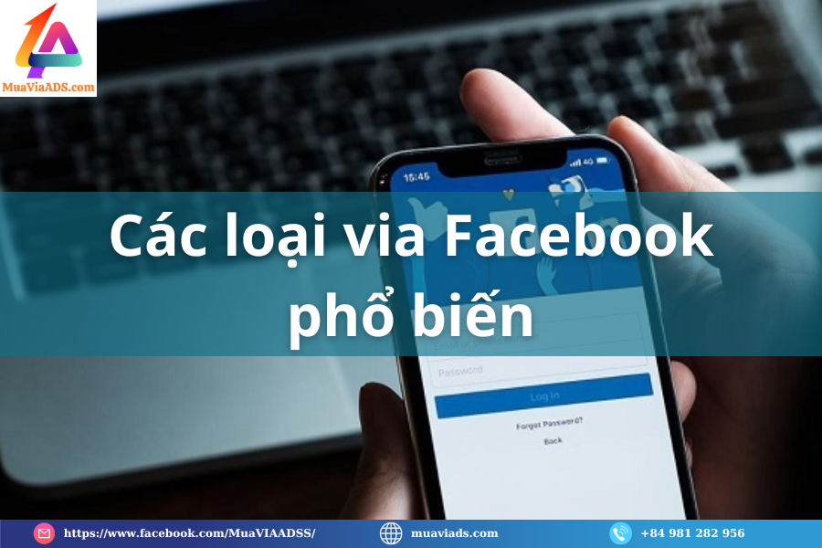 Các loại via facebook phổ biến