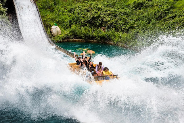 5 Reasons to Visit Parc Astérix French Amusement Park