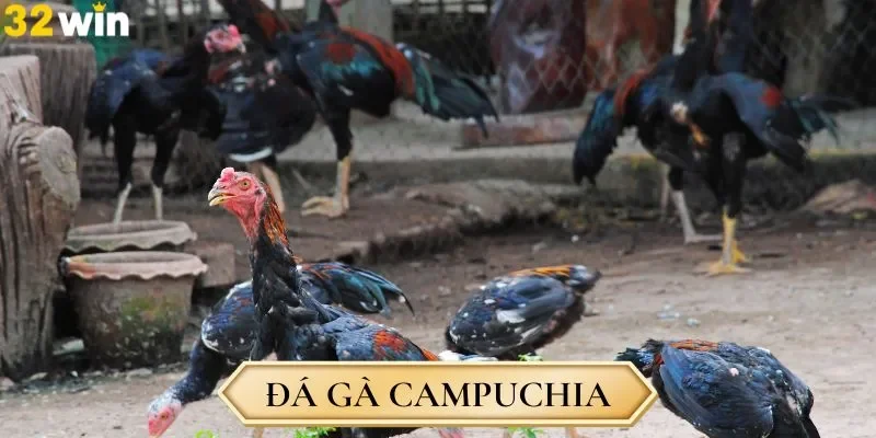 ĐÁ GÀ 32WIN - Hình 1