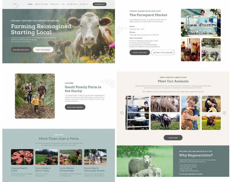 Content design information architecture