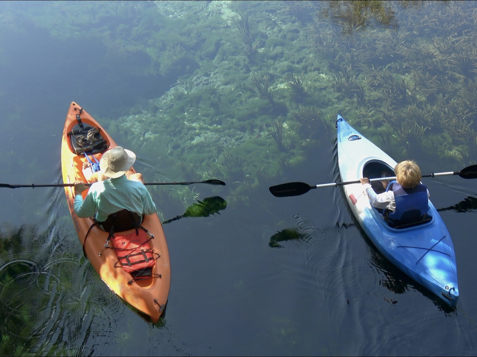 Kayakers at Florida State Park