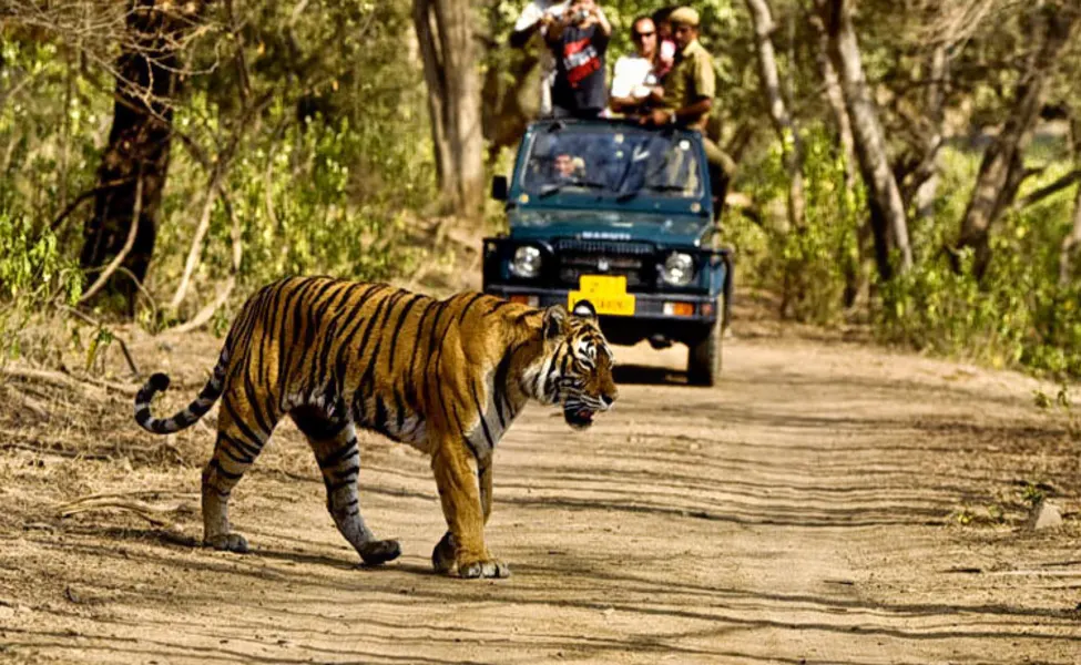 Rajaji National Park – Where Wilderness Meets the Ganges