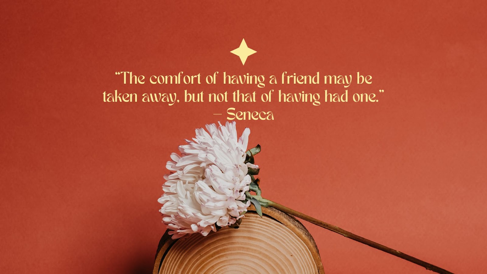 Friendship is a powerful form of love—built on laughter, trust, and mutual understanding.&nbsp;