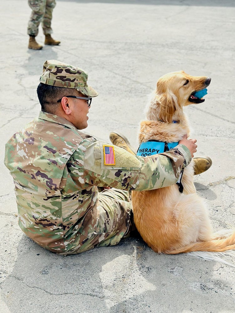 therapy-dog-training-cost-affordable-options-and-tips