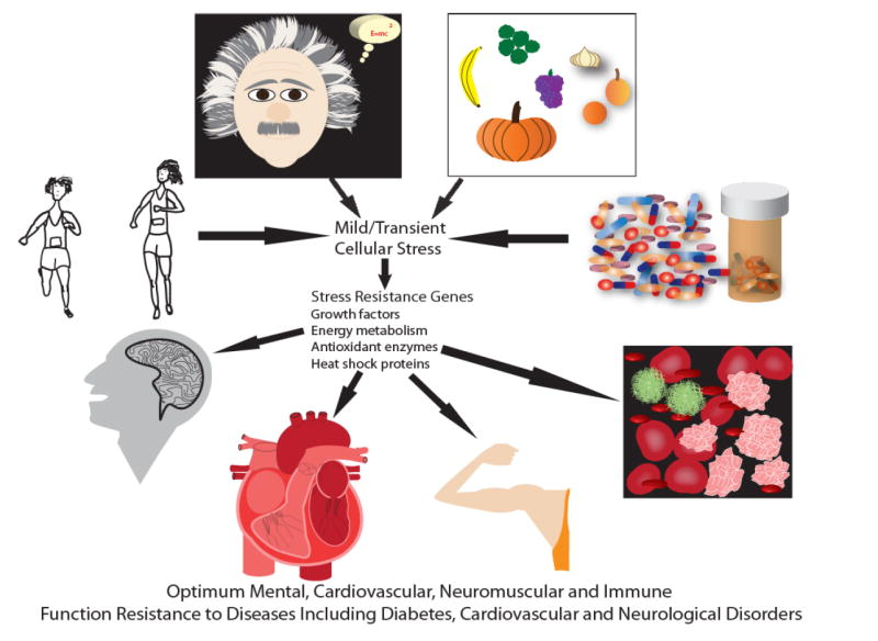 A diagram of different types of diseases

Description automatically generated