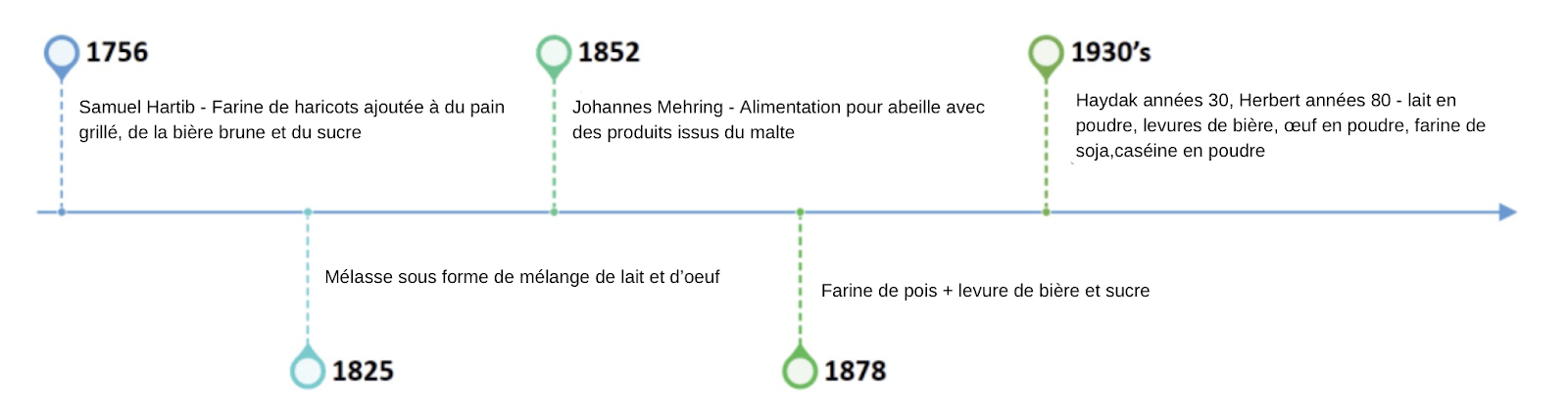 Le nourrissement en protéines chez les abeilles [Guide complet] - ALIMENTATION & NOURRISSEMENT