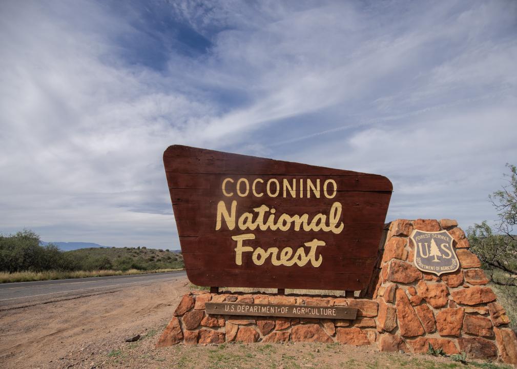 The Coconino National Forest sign.