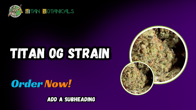 Explore the Best Titan OG Strain Online Form Titan Botanicals