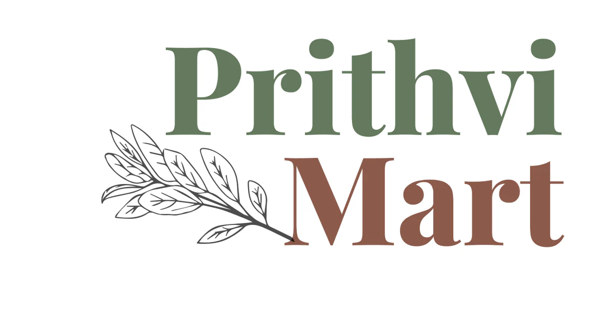 Websites to Buy Ayurvedic Medicines in France - Prithvi Mart Logo