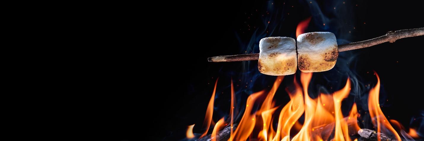 Toasting marshmallows