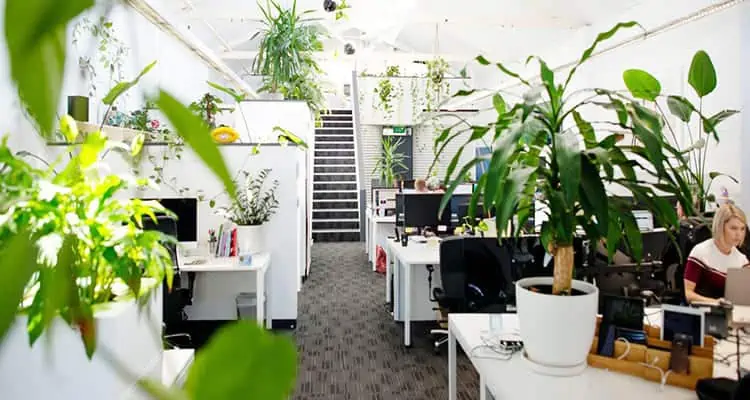 office space transform into artificial plants