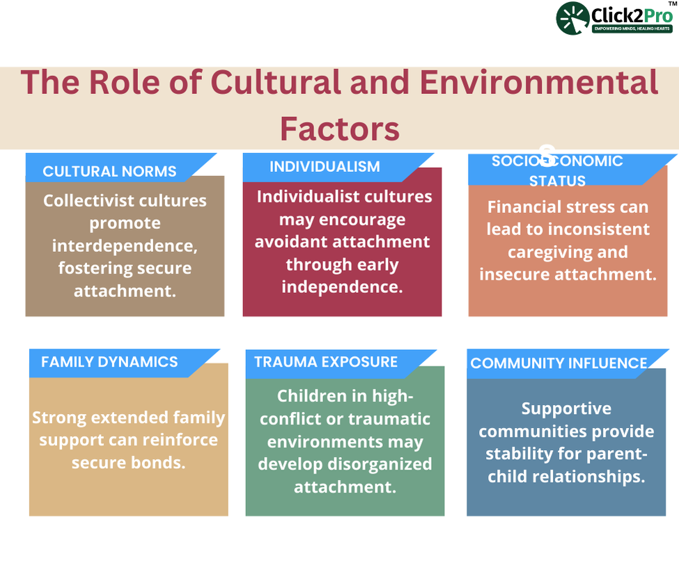 The role of cultural and environmental factors in attachment: norms, individualism, and family dynamics.