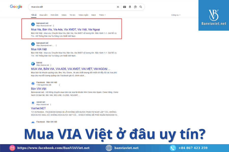 Mua VIA Việt ở đâu uy tín?