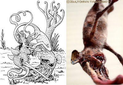 On the left, an illustration from The Snouters, where a small shrewlike animal with an elaborate nose is being killed by another similar animal, but with predatory teeth and a stinger on its tail. On the right, a fake taxidermy model of the latter animal.