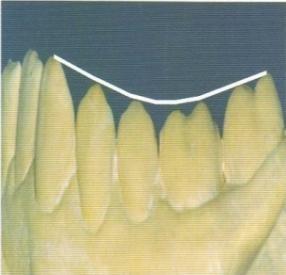 C:\Documents and Settings\Administrateur\Mes documents\Mes images\img182.jpg