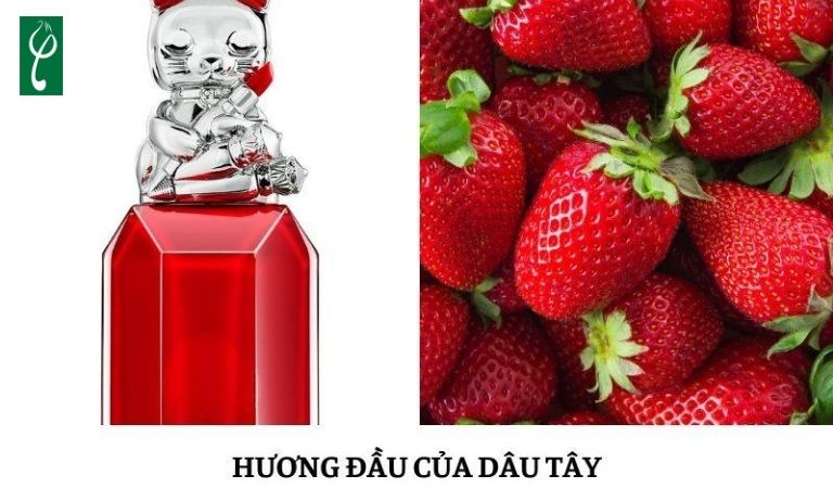 Nước hoa hương dâu tây ngọt ngào cuốn hút