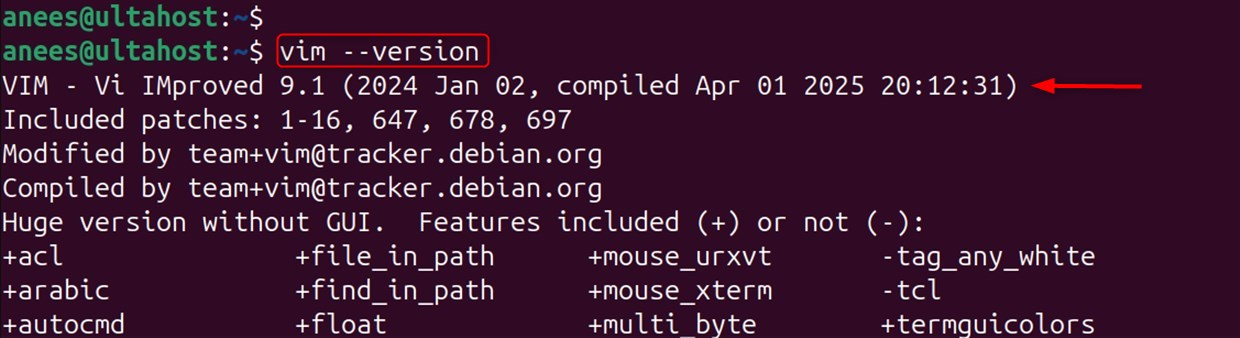 confirm vim installation