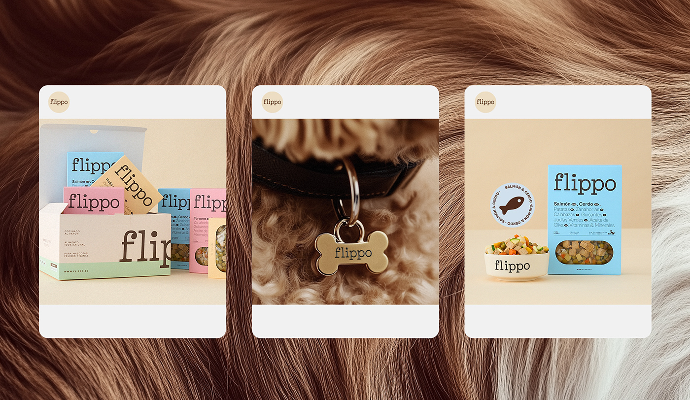 Image from the FLIPPO Pet Food: A Fresh Take on Branding and Packaging Design article on Abduzeedo