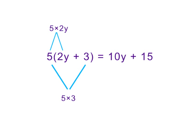 Application of distributive property in algebraic expressions.