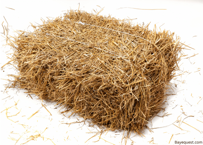 Types of Hay